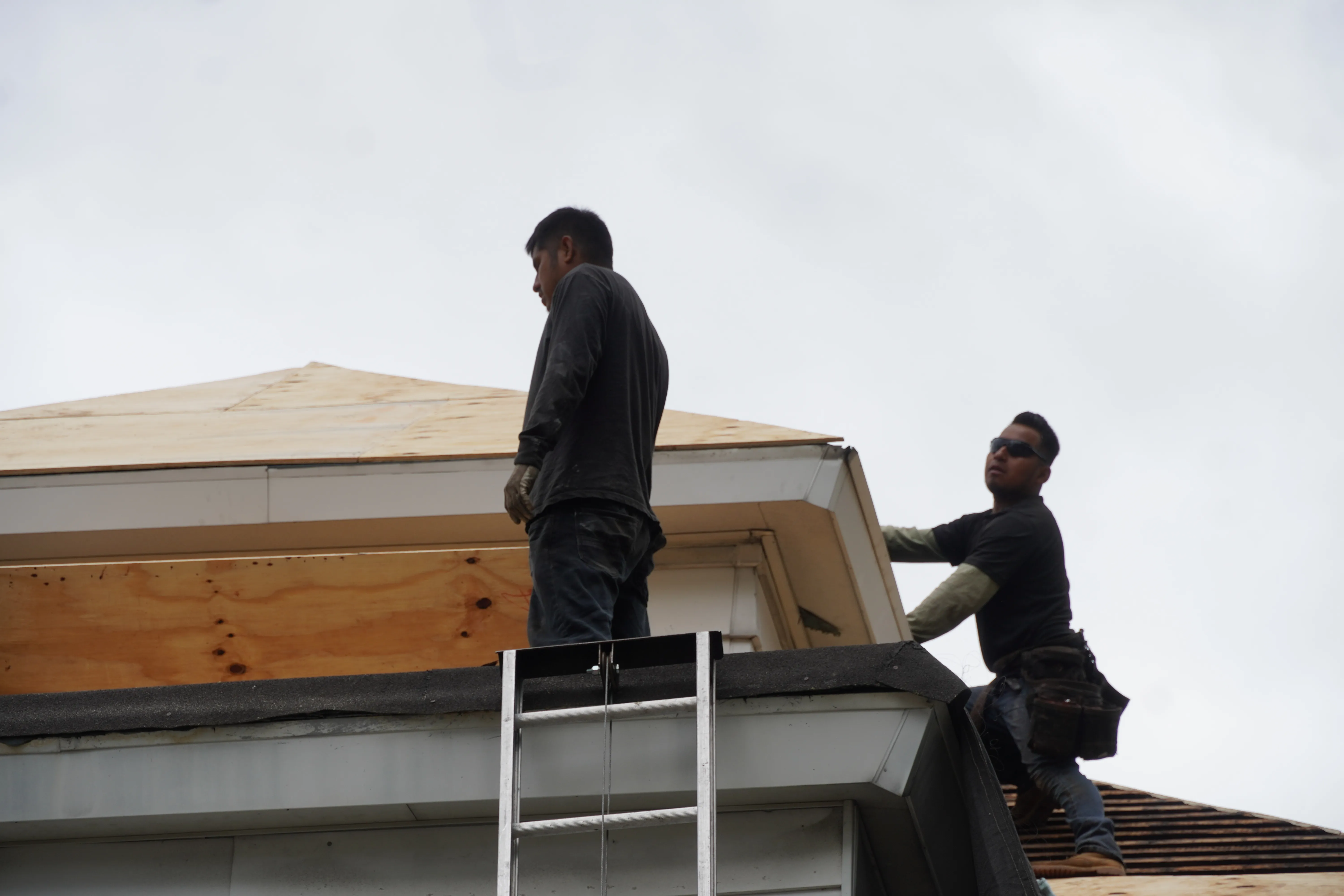 Roof Inspections and Consultations
